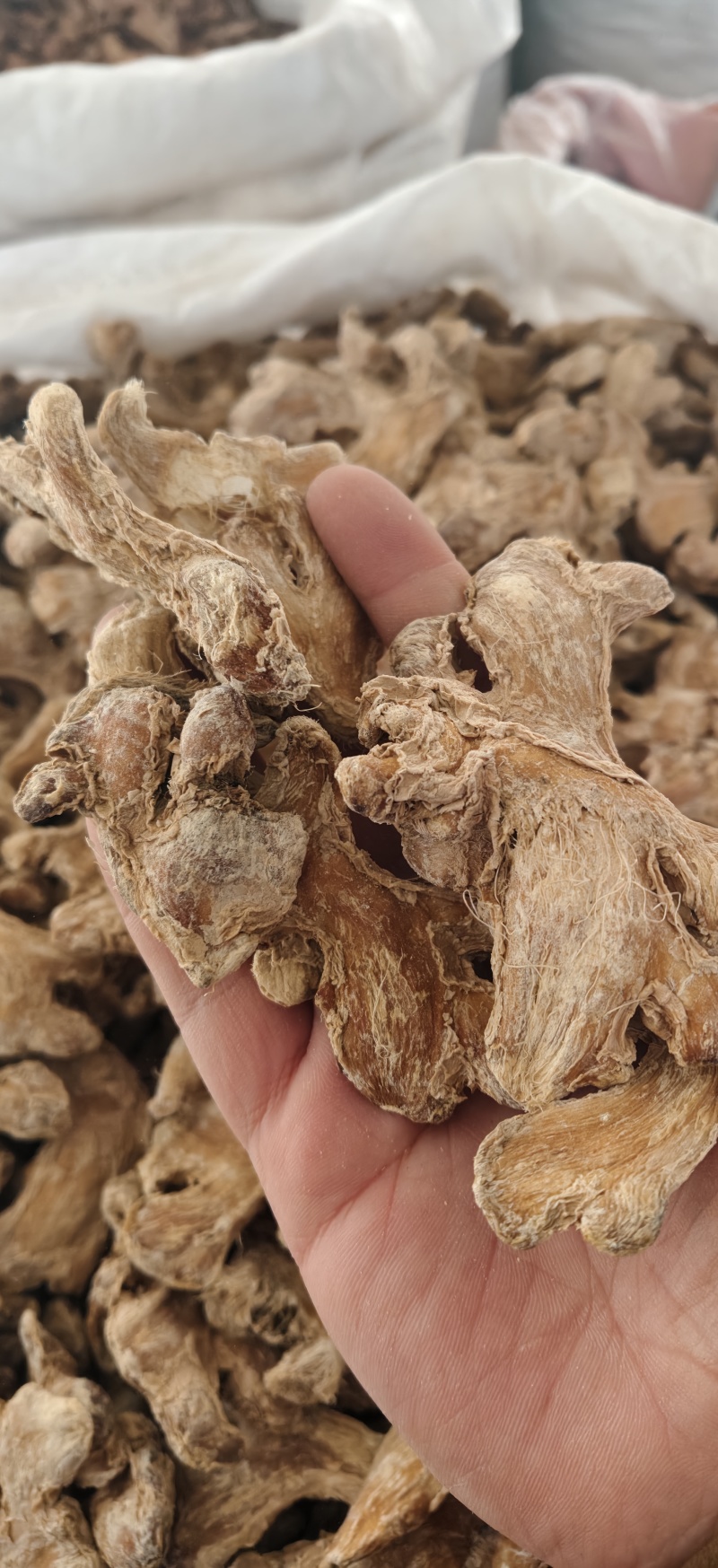 干姜干姜个炮姜无硫干姜片粉姜小黄姜一公斤起批