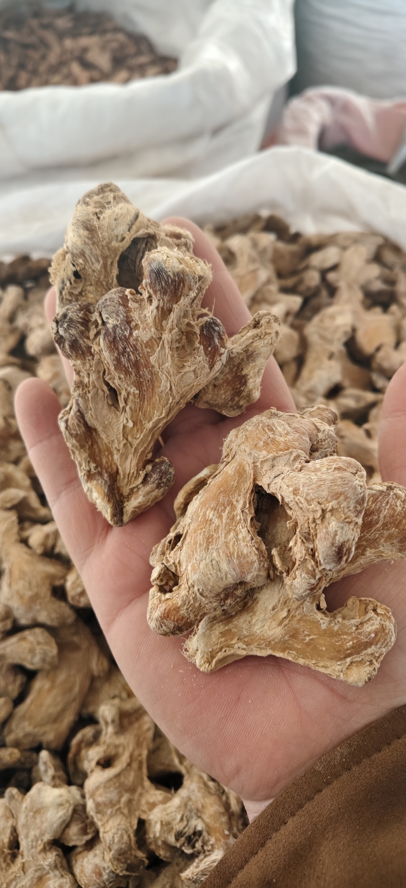 干姜干姜个炮姜无硫干姜片粉姜小黄姜一公斤起批