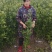 佛手两年苗，基地直销，决无中间商，根系发达，批发零售，