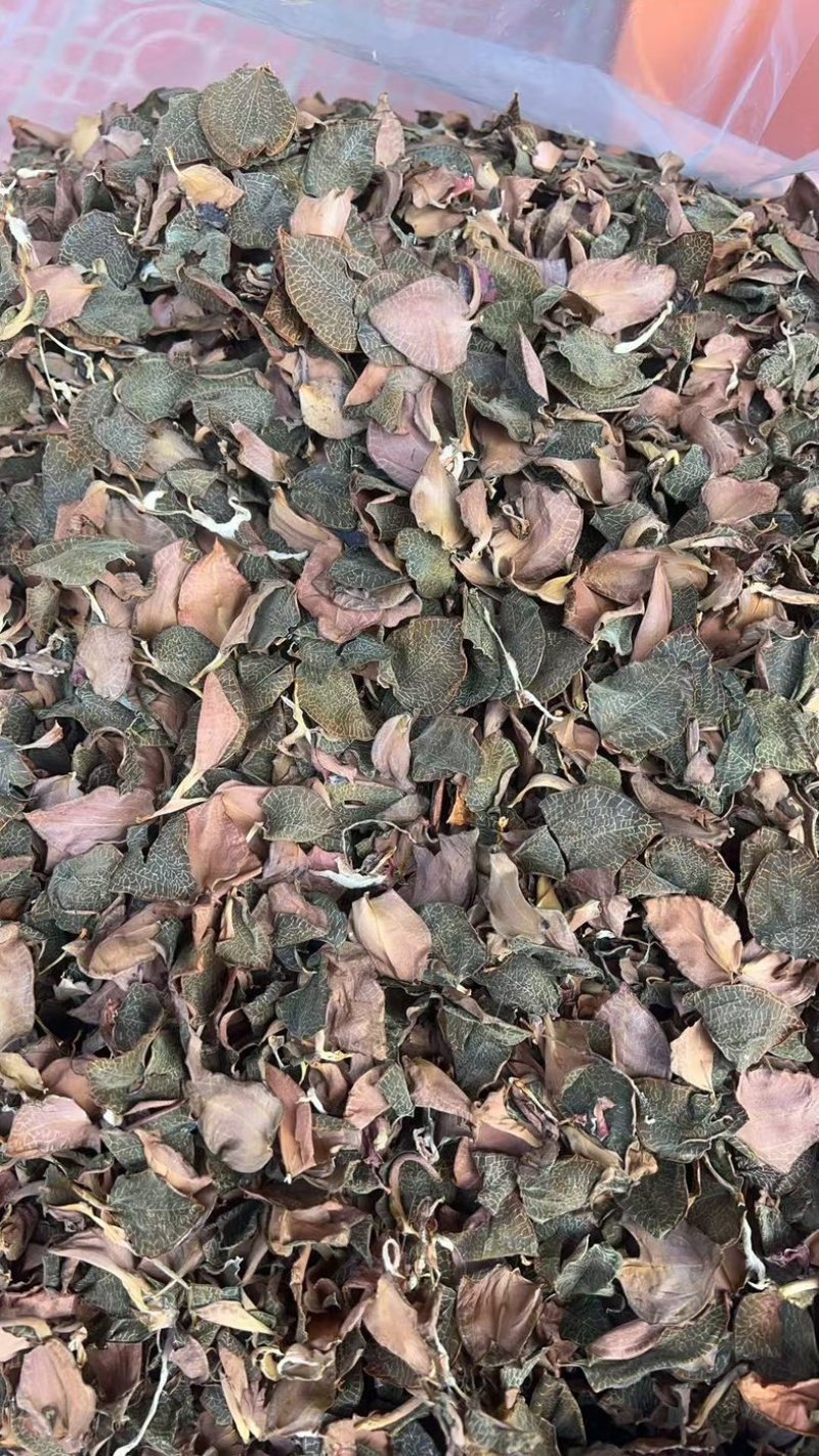 金线莲中药材林下防野生种植金线莲滋补养生货真价实