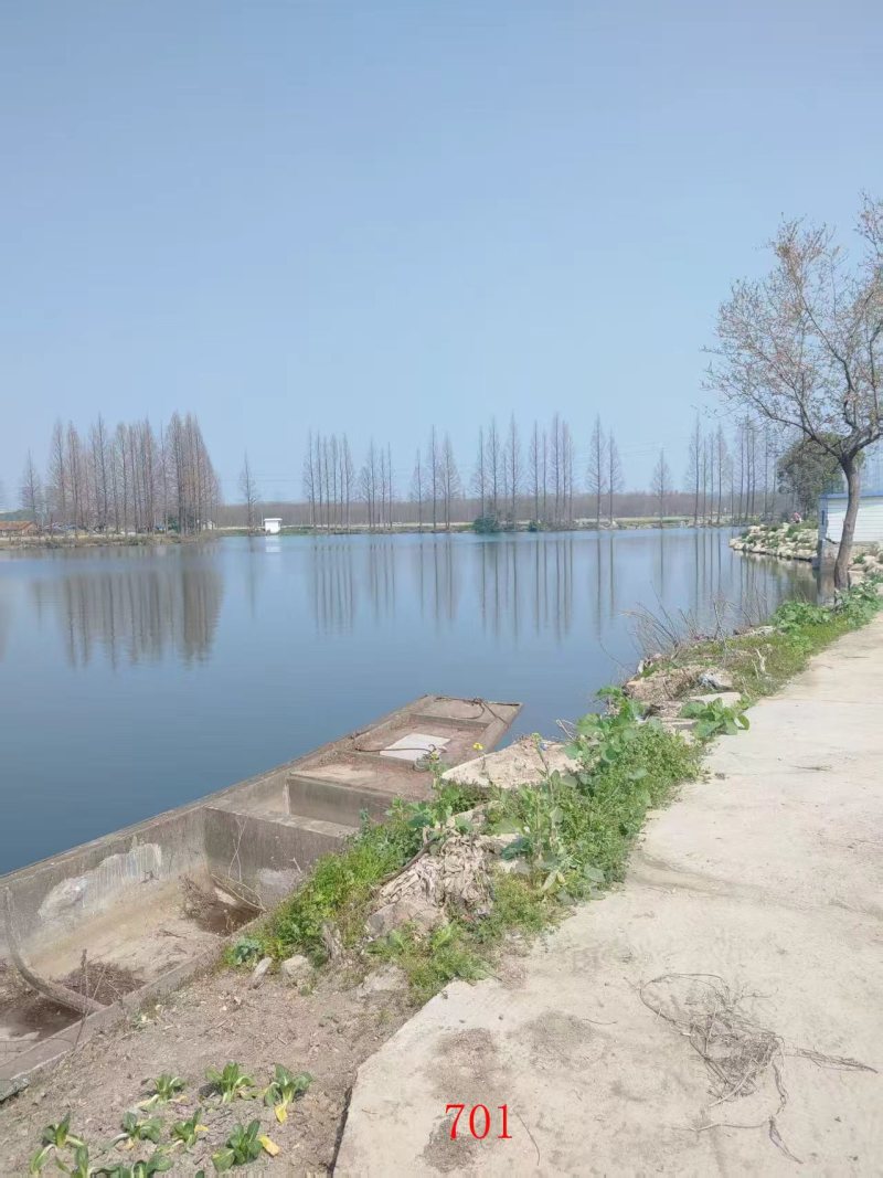 生态农业基地招商