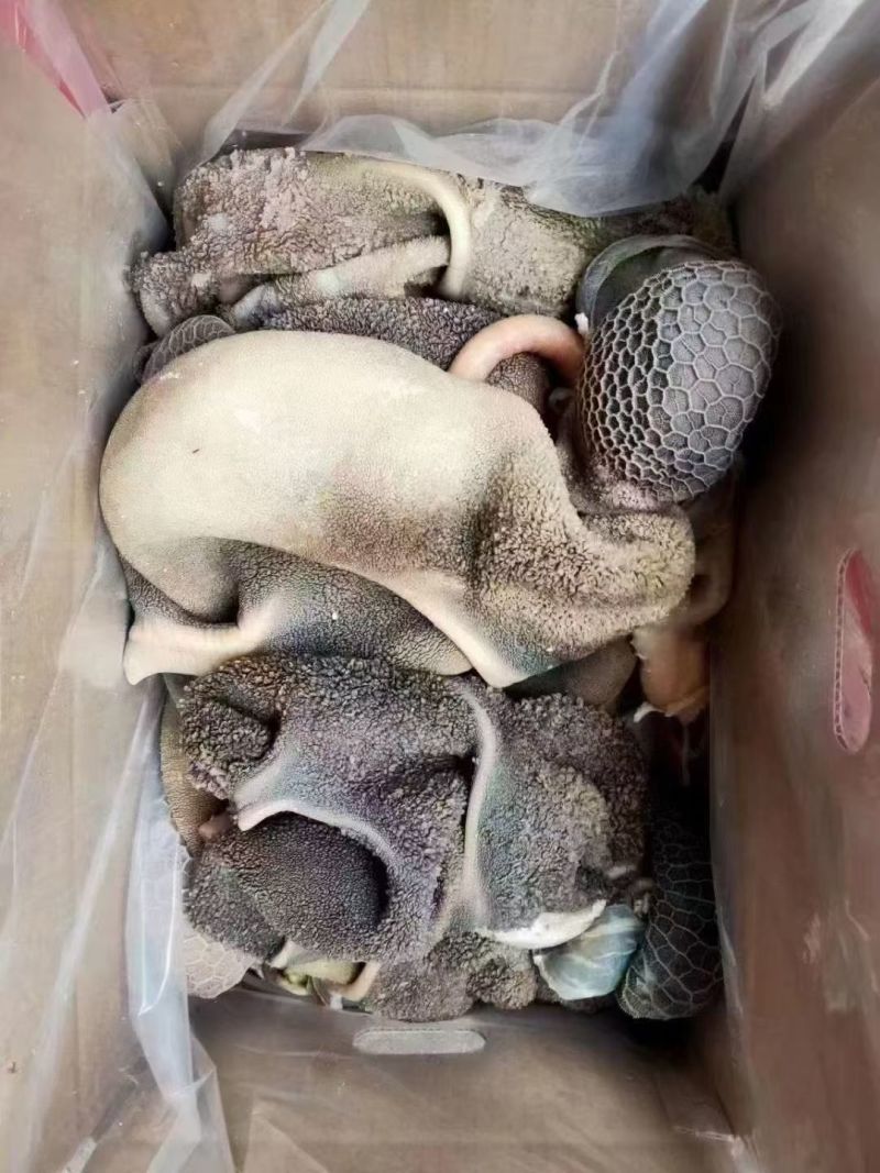 黑羊肚