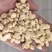 精品白糯玉米干粒