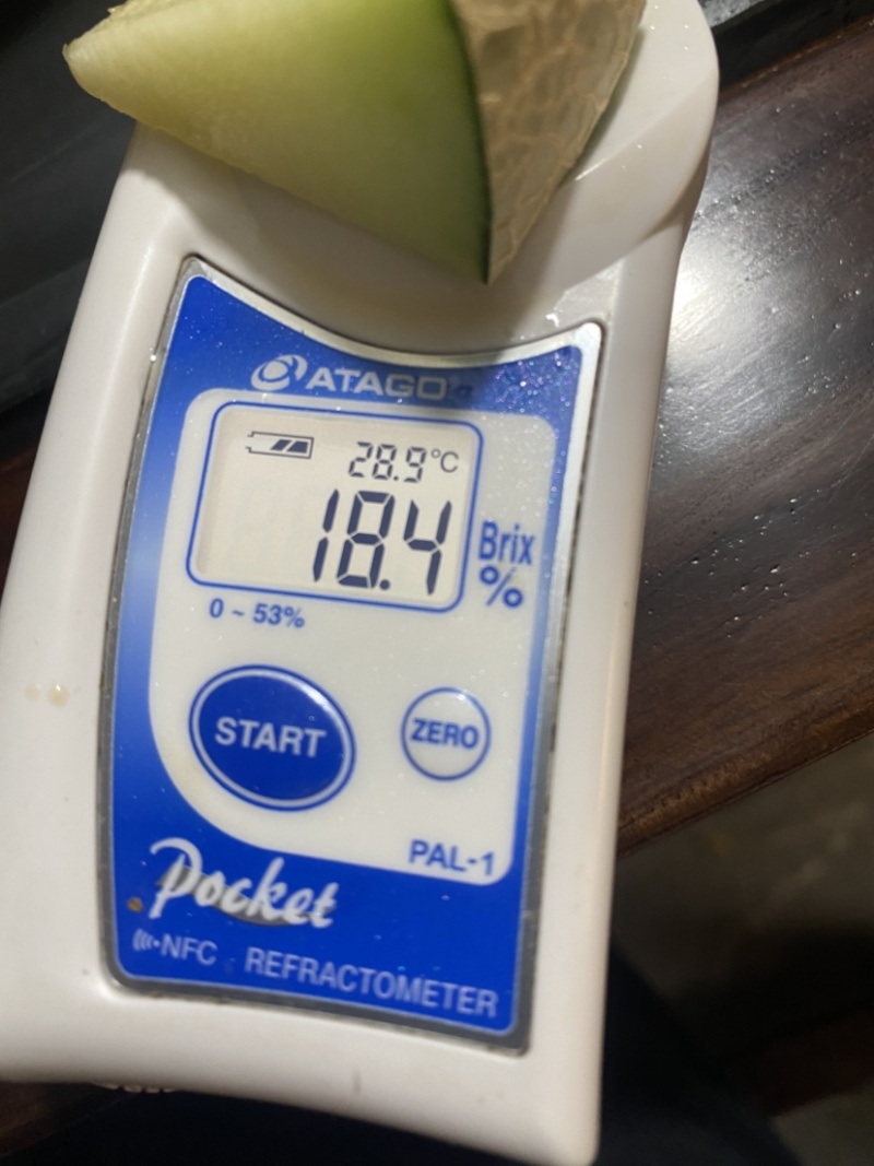 蜜瓜网文产地直供现摘现发软糯香甜。整车发货
