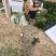 山东大叶菠菜，小叶菠菜，产地一手货源价格实惠保质保量