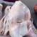 猪耳