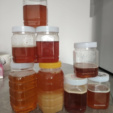 荔枝蜜，黄皮果蜜，龙眼蜜，百花蜜