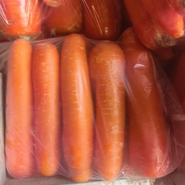 水洗胡萝卜，食品加工厂专用，