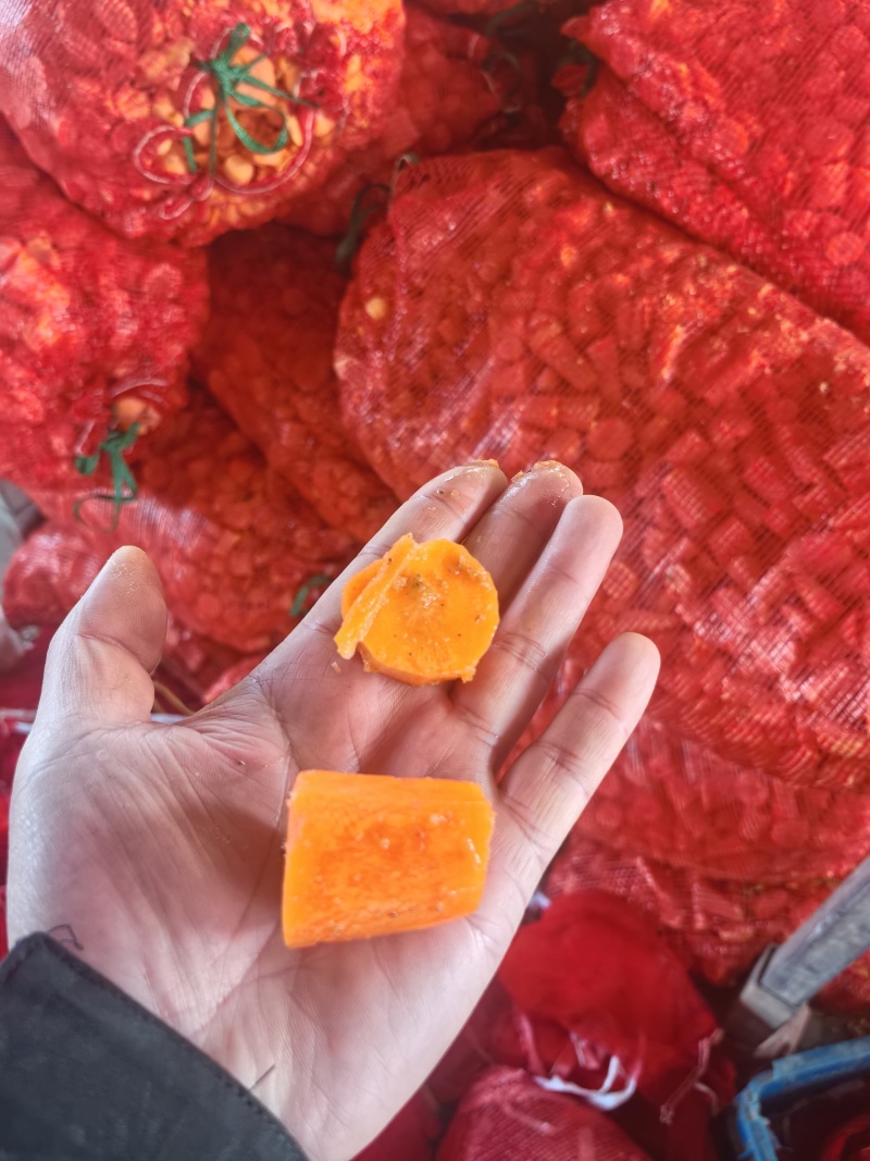 水洗胡萝卜，食品加工厂专用，