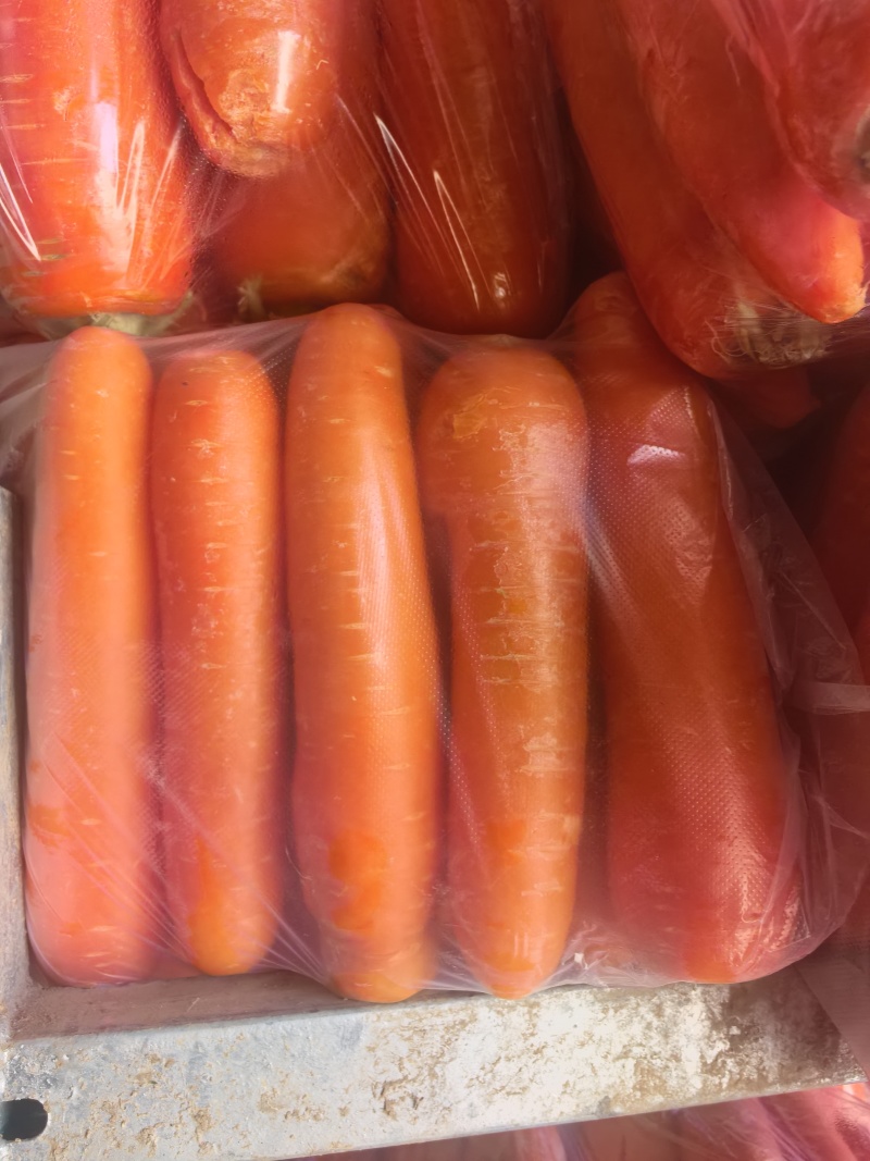 水洗胡萝卜，食品加工厂专用，