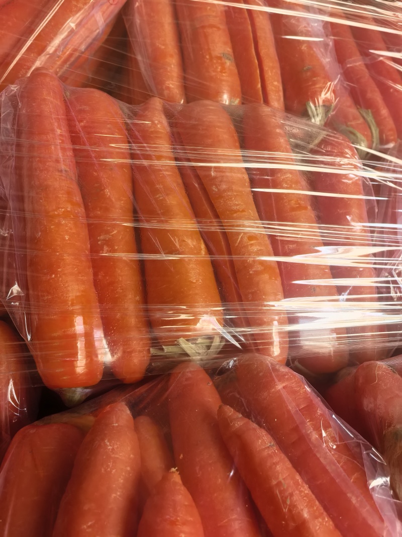水洗胡萝卜，食品加工厂专用，
