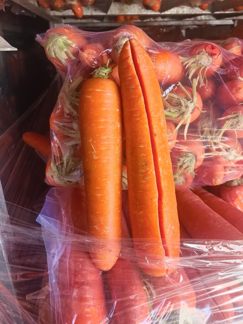 水洗胡萝卜，食品加工厂专用，