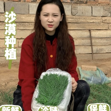 甘肃民勤沙葱