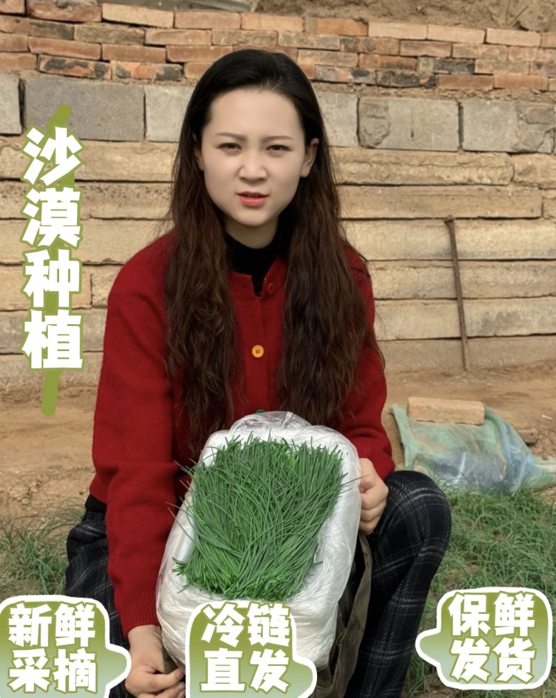 甘肃民勤沙葱
