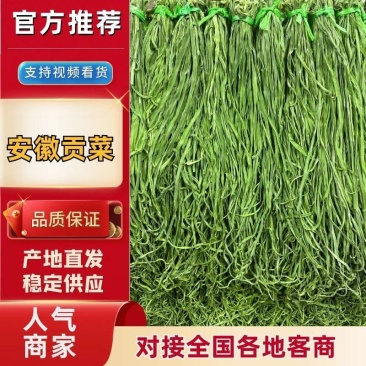 贡菜实力商家商超餐饮火锅食材规格可定制全国接单