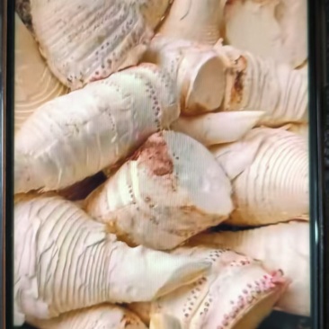 楠竹笋净肉，产地直销，装车价1.8元，没有任何套路
