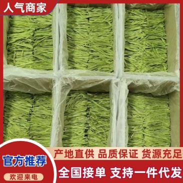 精品贡菜段（5公分10公分）产地直供货源充足全国接单