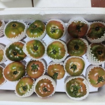 水果西红柿草莓柿子铁皮番茄大量现货现摘现发电商货精品货
