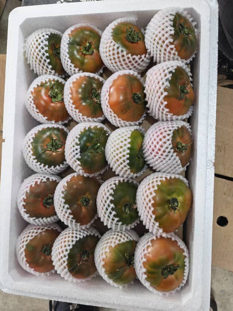 水果西红柿草莓柿子铁皮番茄大量现货现摘现发电商货精品货