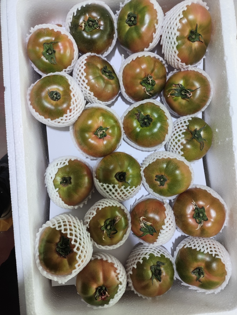 水果西红柿草莓柿子铁皮番茄大量现货现摘现发电商货精品货
