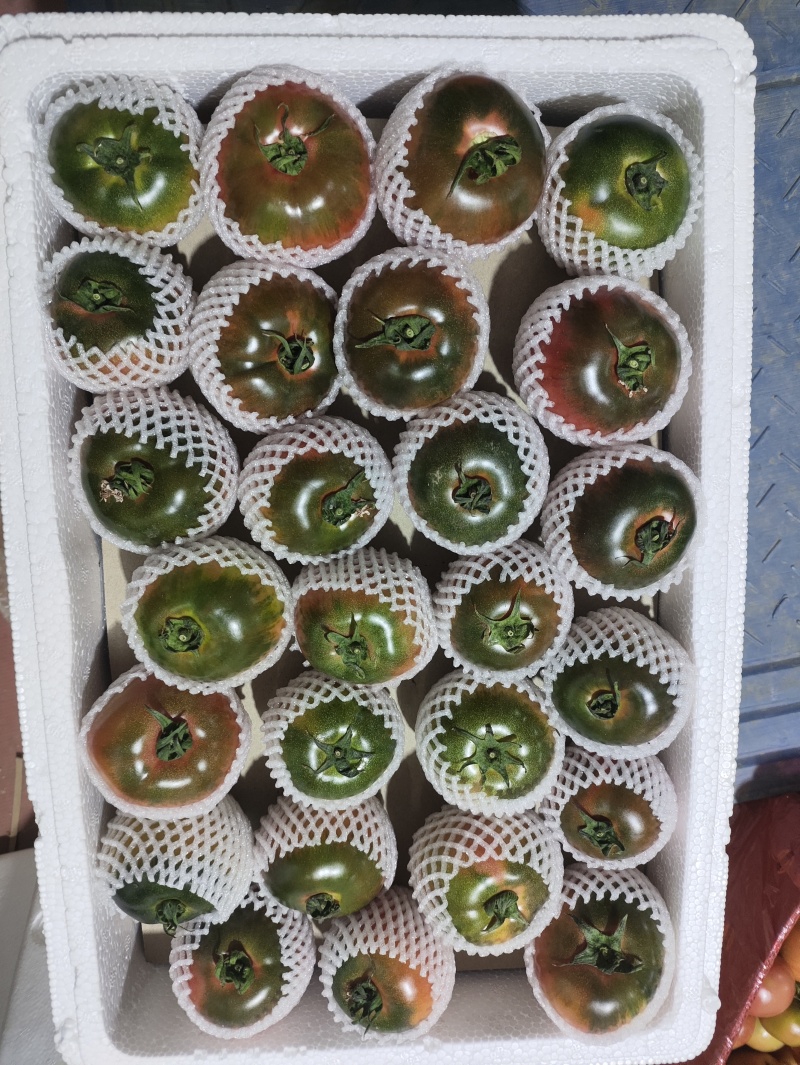 水果西红柿草莓柿子铁皮番茄大量现货现摘现发电商货精品货