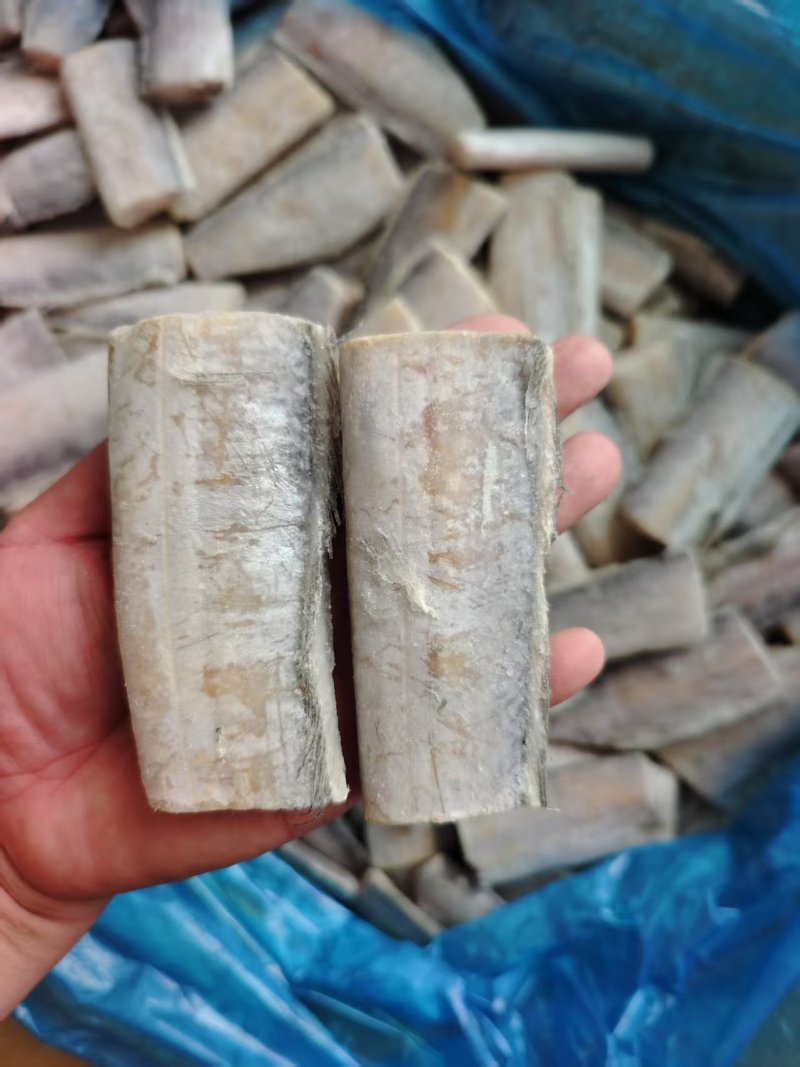 精品带鱼段，国产货去头去尾都是加工的中段。纯干货无冰无水