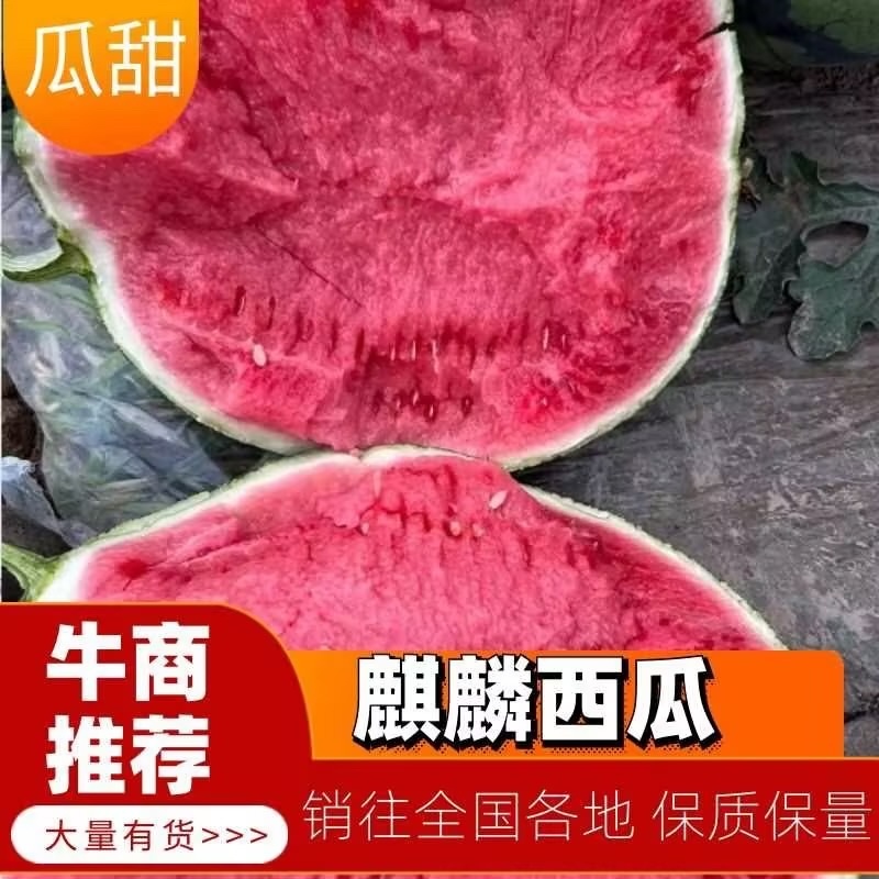 精选高品质麒麟西瓜西瓜8424价格实惠