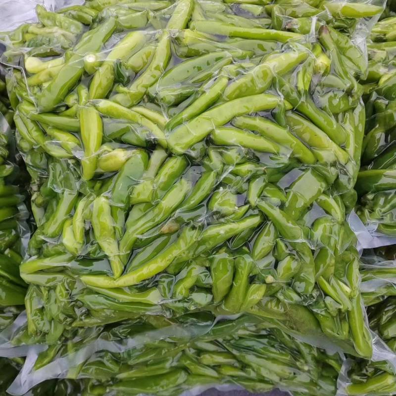 鲜辣椒泡杭椒青辣椒/保质保量/量大从优/诚信经营