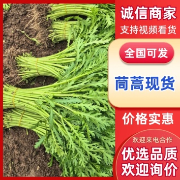 茼蒿/产区直发/大量有货/货源充足/欢迎选购