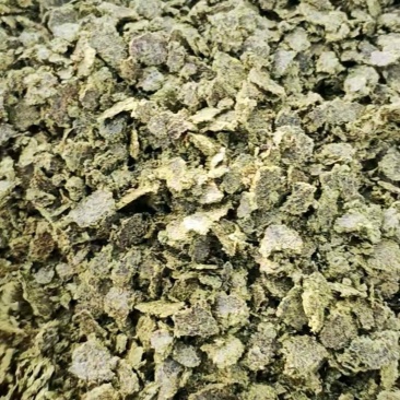 阿克苏棉籽饼棉籽油渣