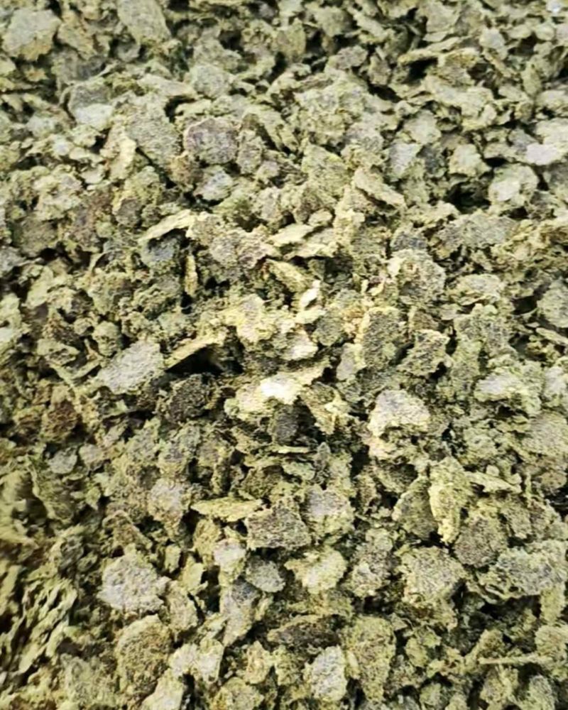 阿克苏棉籽饼棉籽油渣