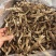 精品鹿茸菇A级