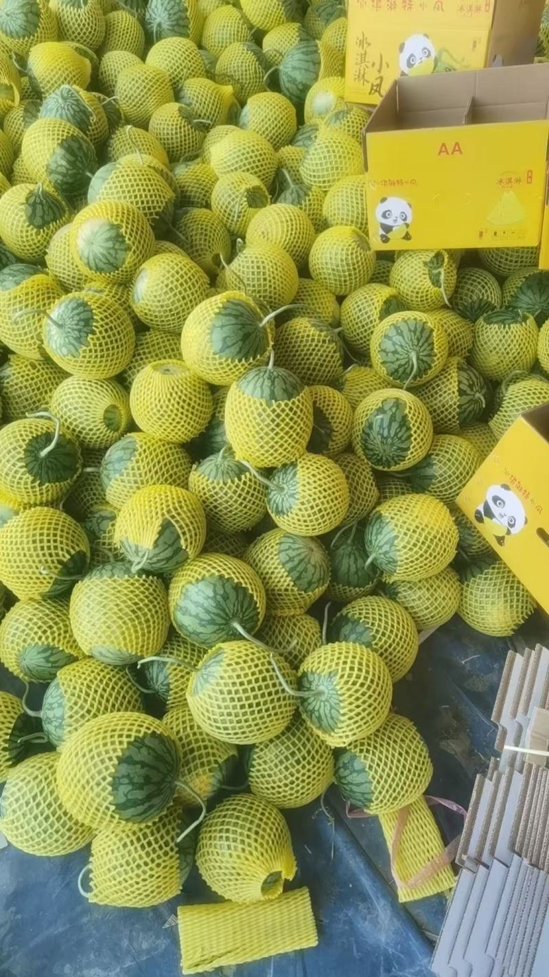 精品特小凤西瓜黄瓤脆口对接市场电商平台等各大渠道