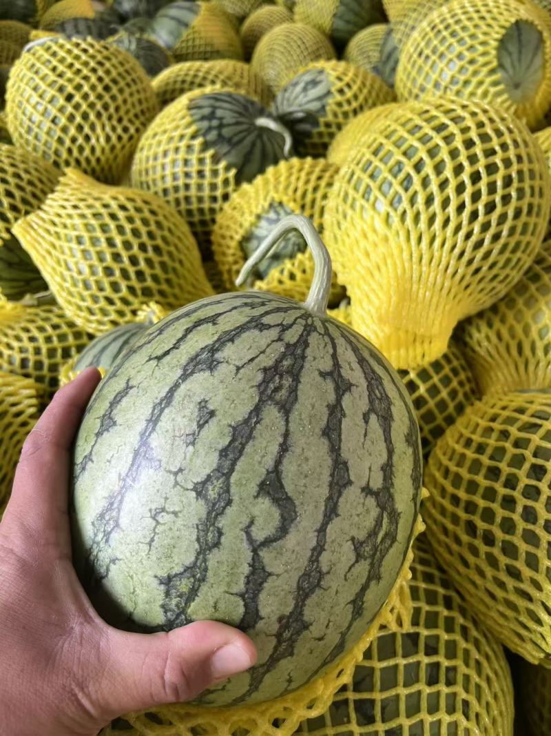 精品特小凤西瓜黄瓤脆口对接市场电商平台等各大渠道