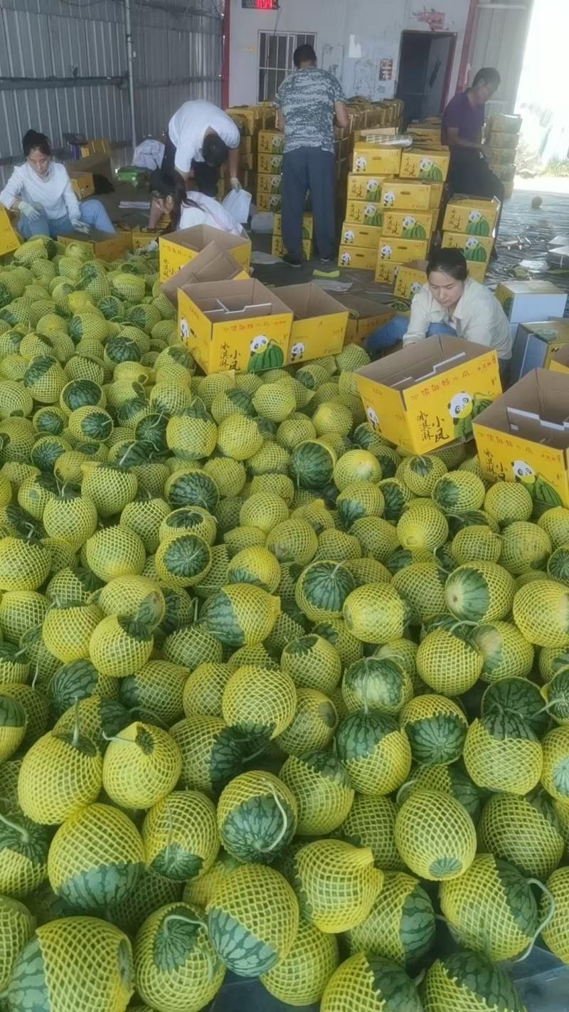 精品特小凤西瓜黄瓤脆口对接市场电商平台等各大渠道