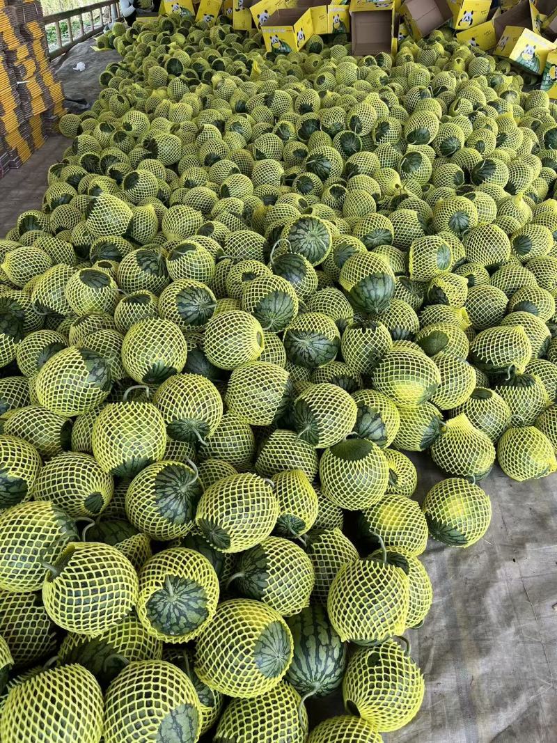 精品特小凤西瓜黄瓤脆口对接市场电商平台等各大渠道