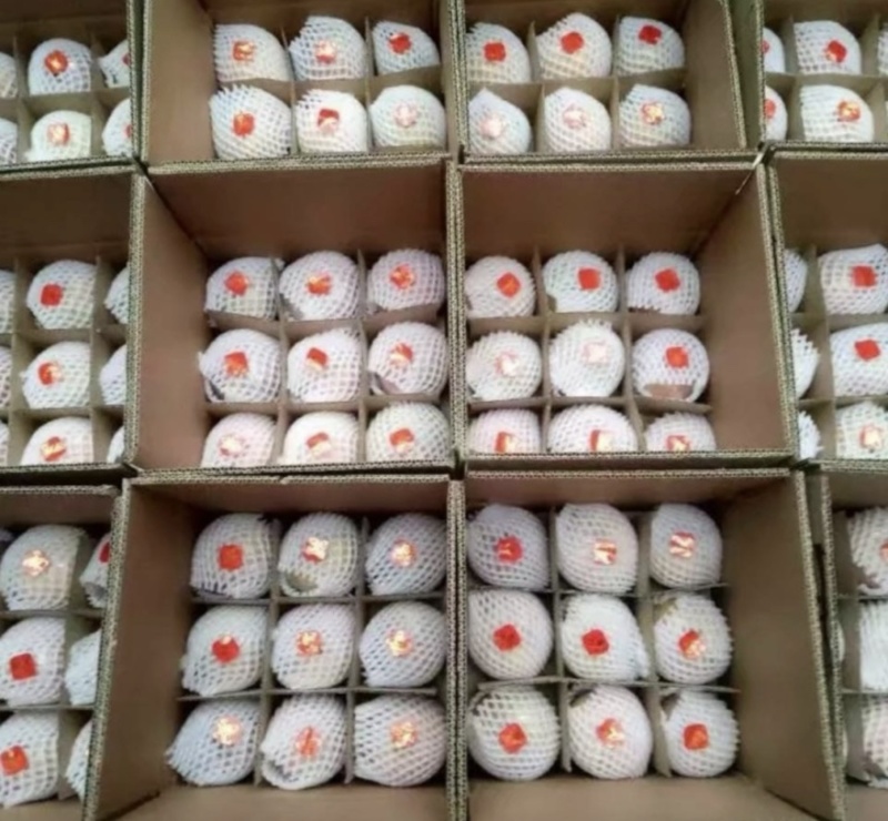 纸加膜苹果红富士苹果🍎产地直发品质保障可视频看货对接