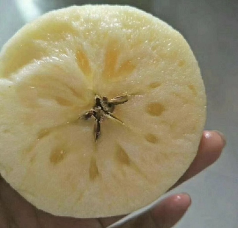 纸加膜苹果红富士苹果🍎产地直发品质保障可视频看货对接