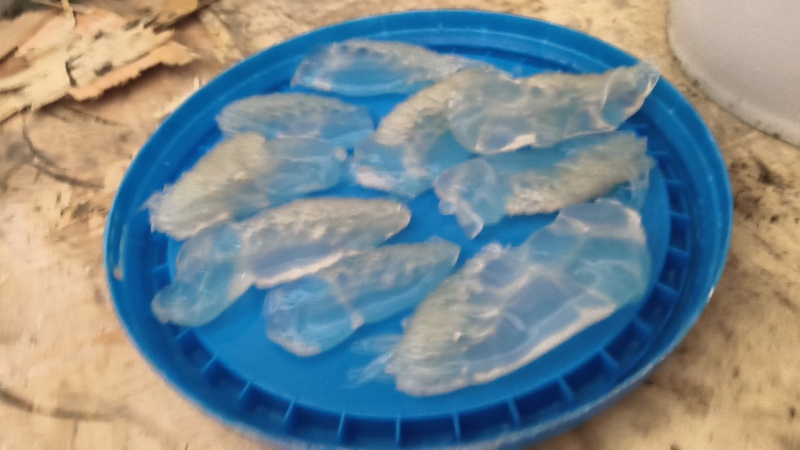 精品海蜇皮提干帽子皮提干波罗皮提干红蜇皮各种规格