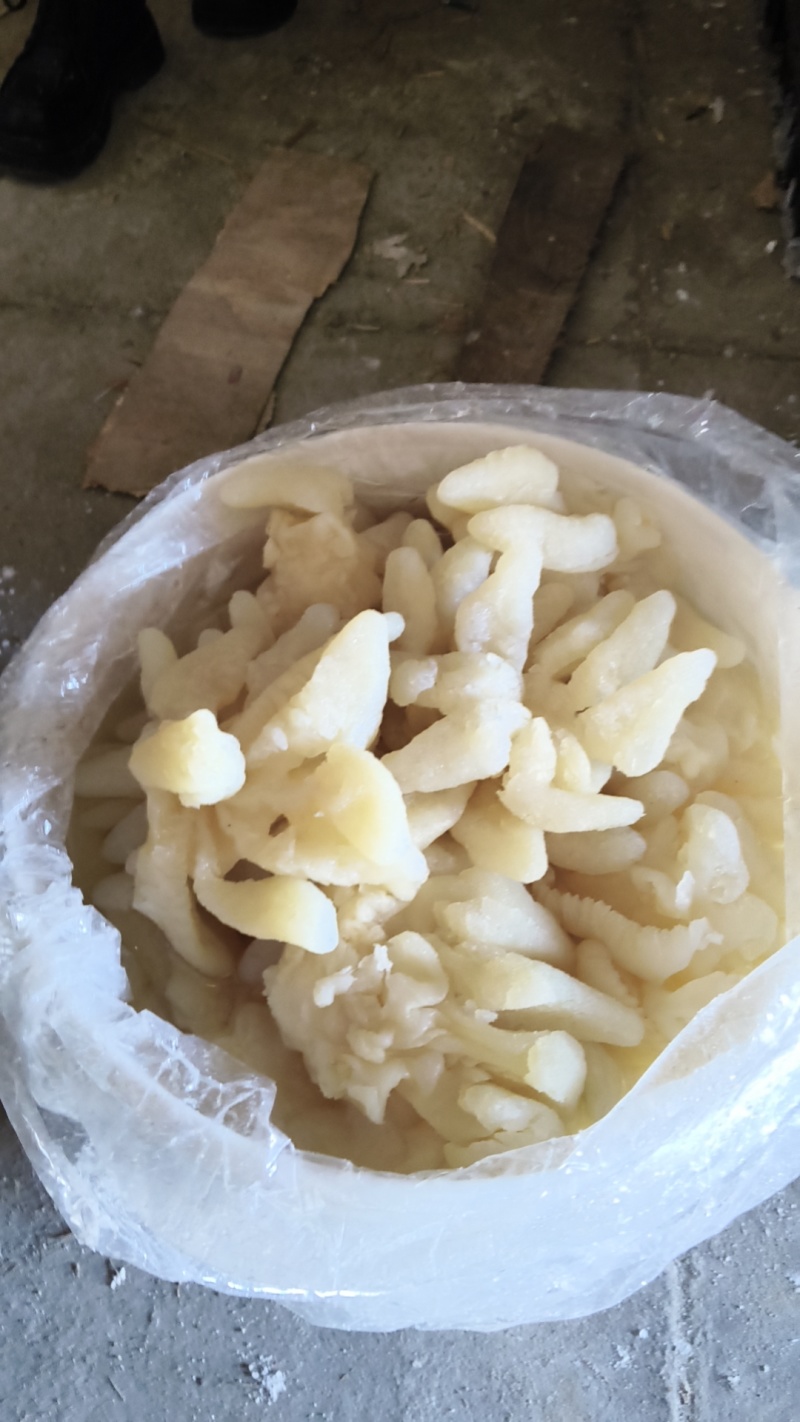 精品海蜇皮提干帽子皮提干波罗皮提干红蜇皮各种规格