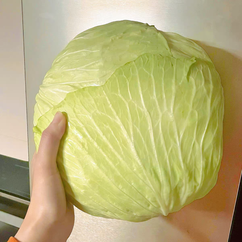 （云南甘蓝）精品货源/产地直发/保质保量发货/来电优惠