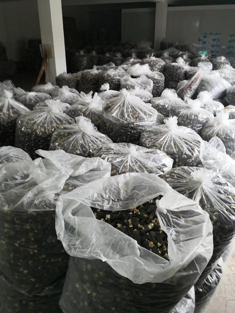羊肚菌产地批发现货各种规格品质加工供应