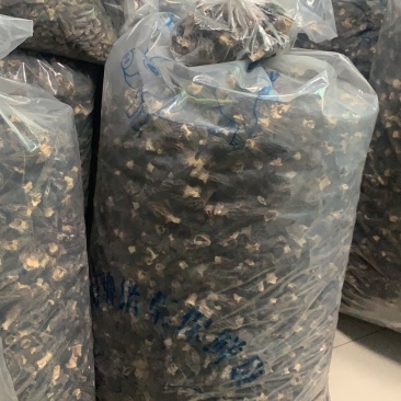 羊肚菌产地批发现货各种规格品质加工供应