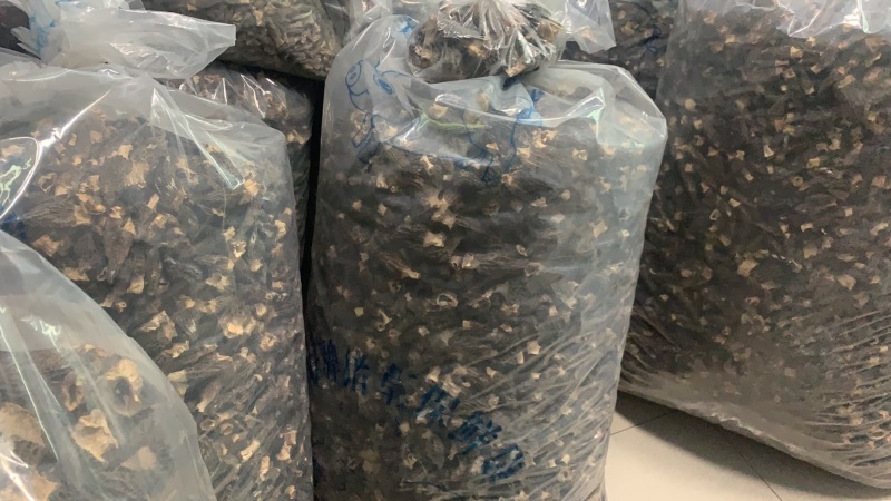 羊肚菌产地批发现货各种规格品质加工供应