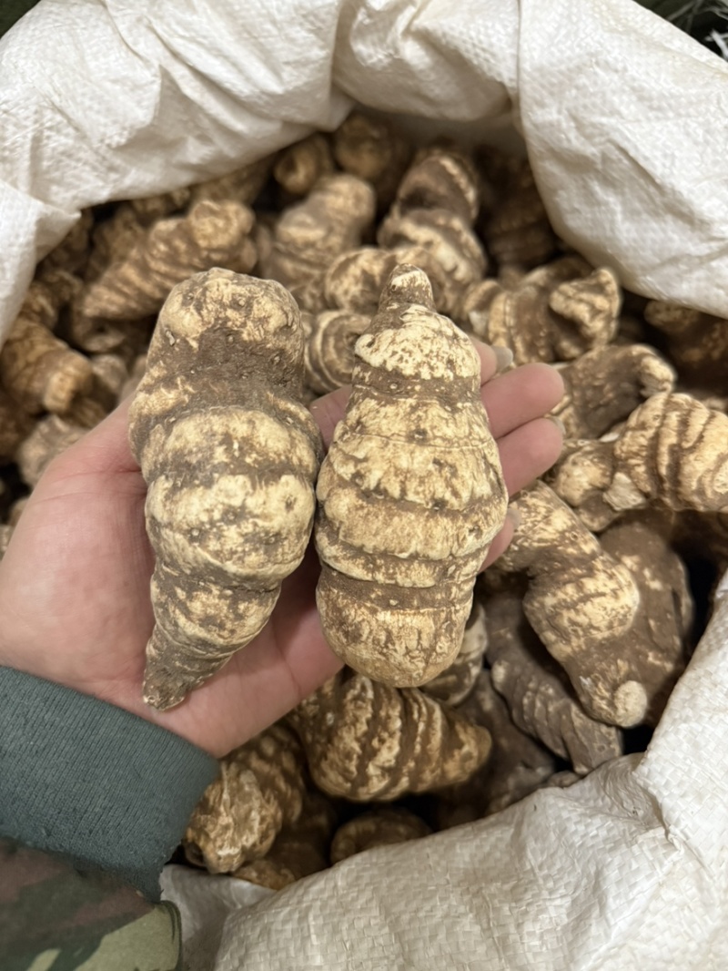 云南重楼个七叶一枝花质量保证量大从优