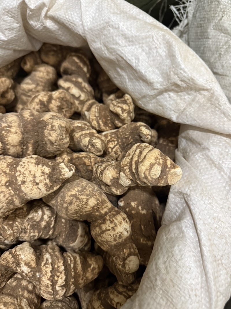 云南重楼个七叶一枝花质量保证量大从优