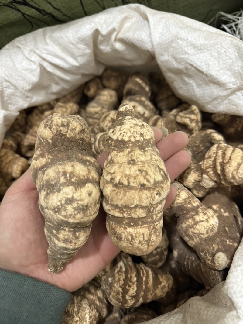 云南重楼个七叶一枝花质量保证量大从优