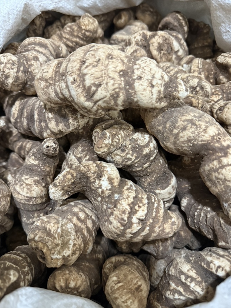 云南重楼个七叶一枝花质量保证量大从优