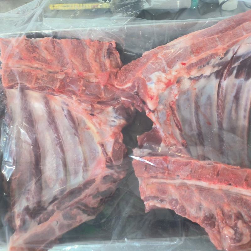 精品前排肉货源充足量大从优质量保证欢迎咨询