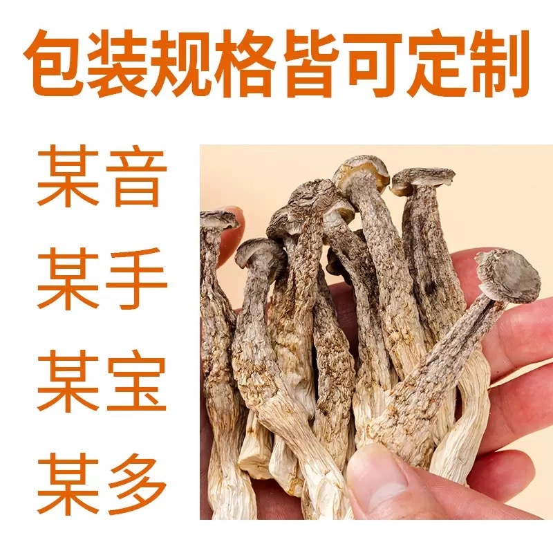 鹿茸菇
